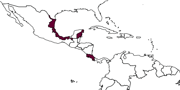 map of Bicristella epimeron     Kasparyan & Ruíz, 2003